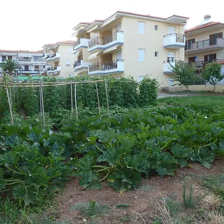Apartment Dimi *